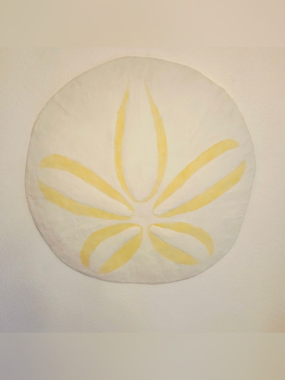 Jumbo Huge Pottery Barn Oversized Sand Dollar Coastal Beach Wall Art Rare